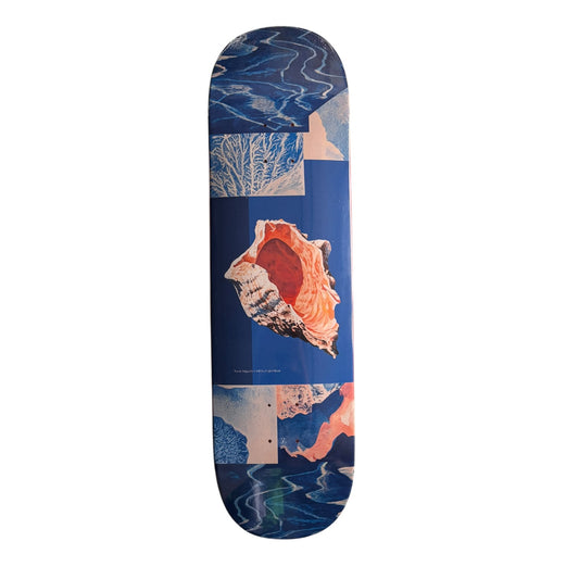 Coda Nicole Salgar x Caleb Shank Shell Deck- 8.63