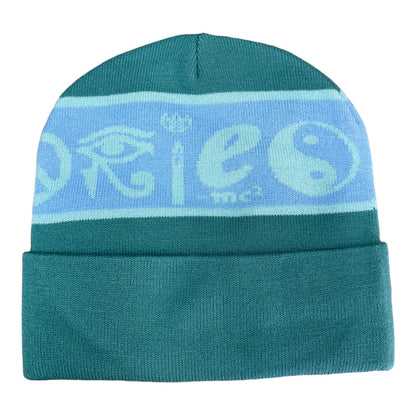 Theories Coexist Beanie Evergreen BACK