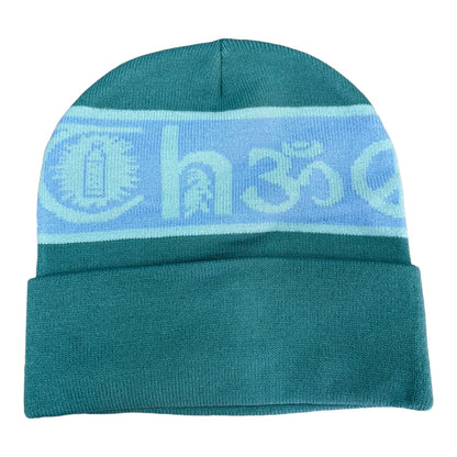 Theories Coexist Beanie Evergreen FRONT