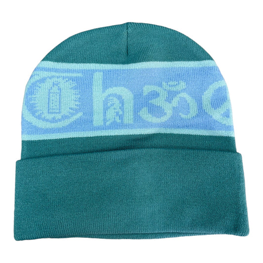 Theories Coexist Beanie Evergreen FRONT